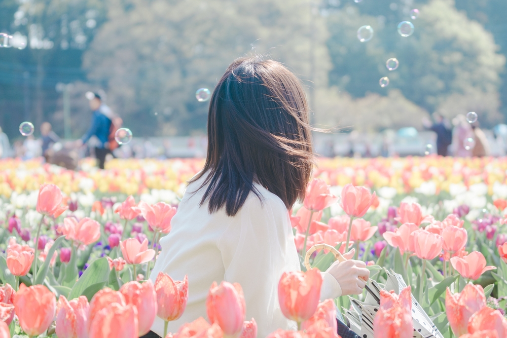 メールレディの平均月収が暴落!稼げなくなった原因とは?