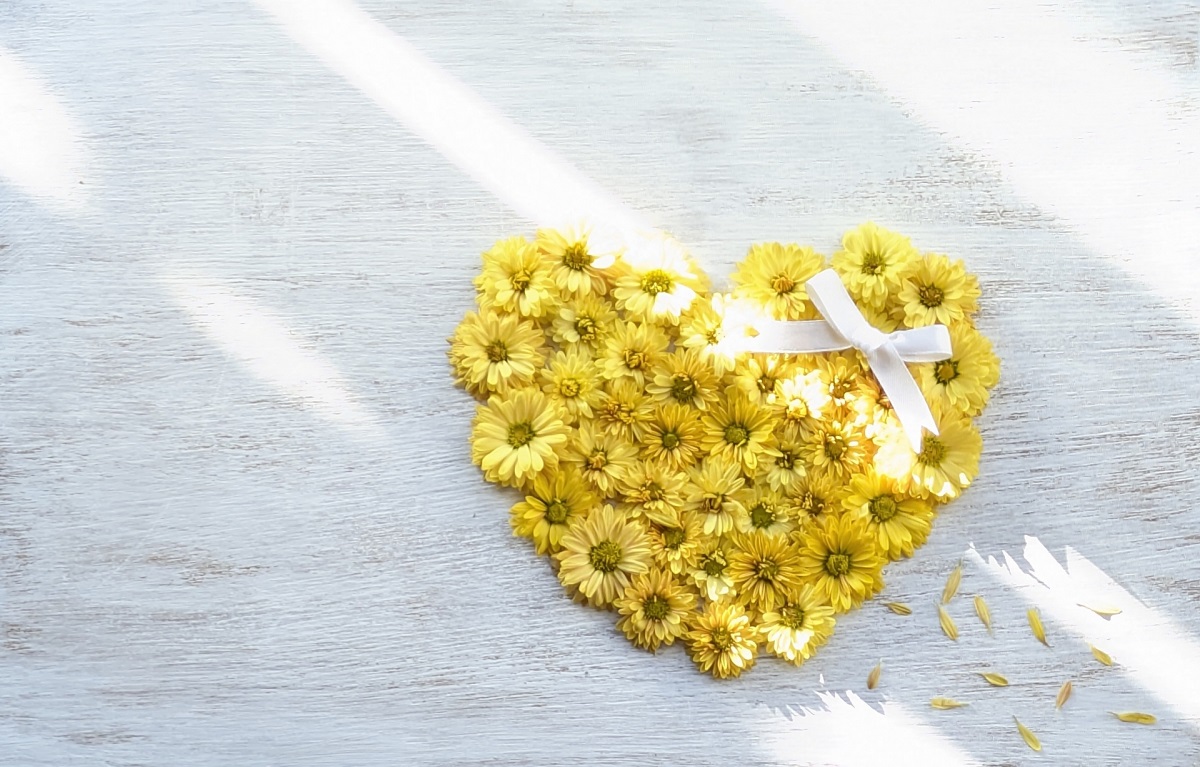 ビーボ（VI-VO）の登録方法と最新ボーナス。1,000円＋5,000円を受け取る手順